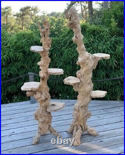 2 Anciennes Sellettes étagères Bois Art Brut Sculpture Racines Loupe Naturelle
