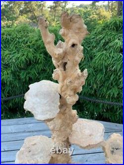 2 Anciennes Sellettes étagères Bois Art Brut Sculpture Racines Loupe Naturelle
