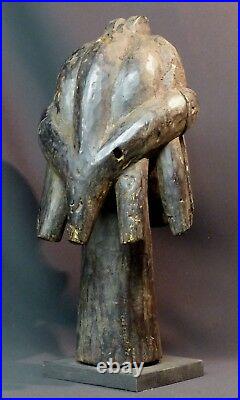 C art africain Buste reliquaire très ancien tribu Fang Gabon 2kg40c sceptre déco