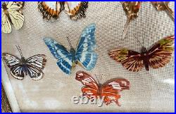 Cadre Diorama Vers 1920 Papillons Artificiels En Feutre Polychromes