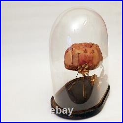 Globe de marié ou pendule en verre avec socle en bois noirci et garniture ancien