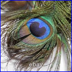 N24.165 éventail plume paon vintage oiseau fait main art déco Belle époque